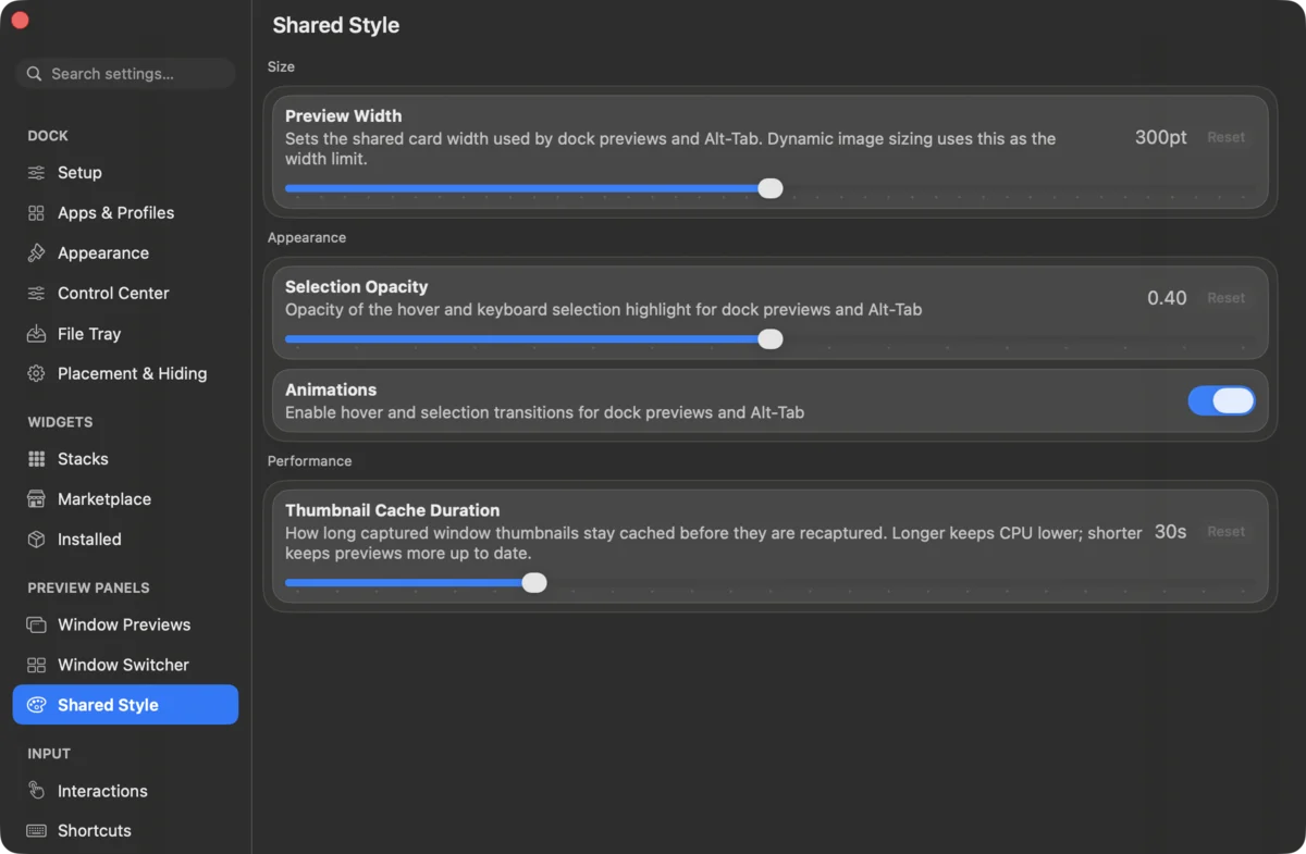 DockDoor Pro settings