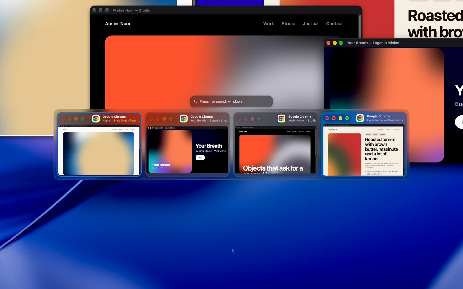 The DockDoor Pro window switcher showing every open window
